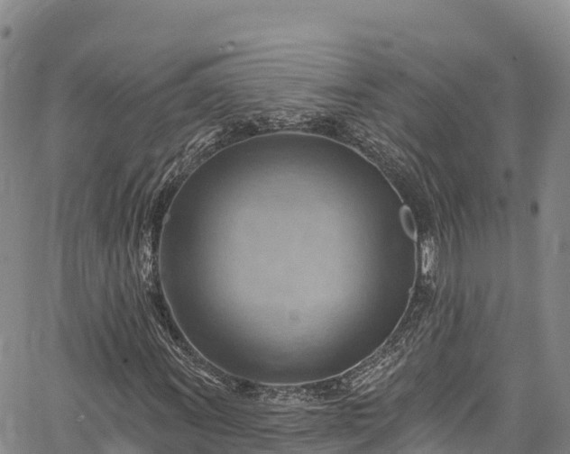 X0000067511011200604101250