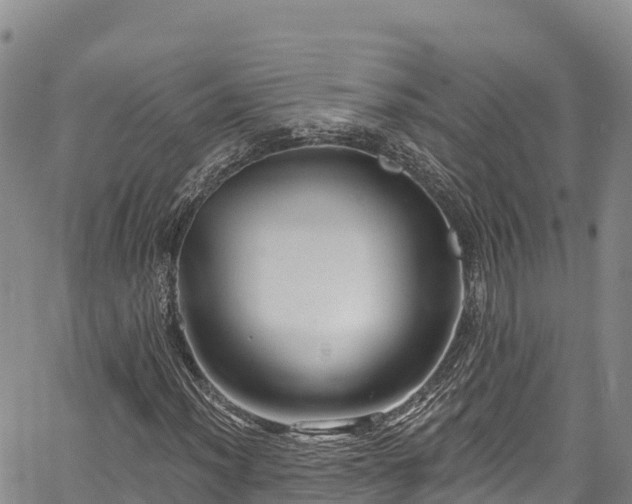 X0000067511012200604101250