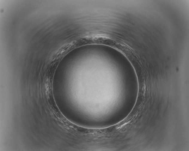 X0000067511014200604101250