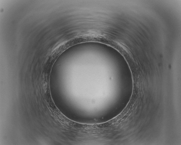 X0000067511015200604101250