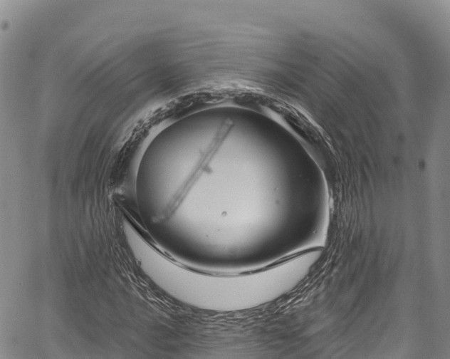 X0000067511016200604101250