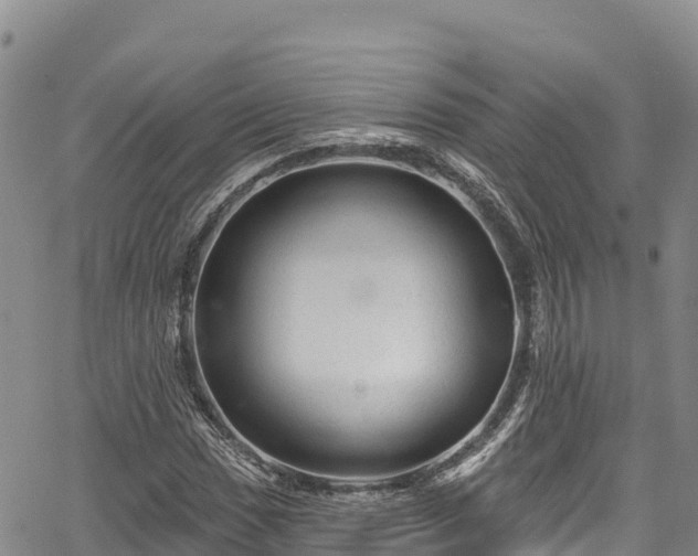 X0000067511017200604101250