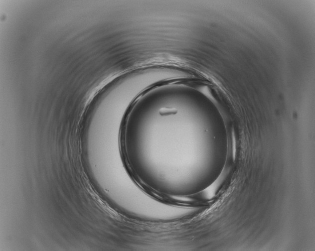 X0000067511018200604101250