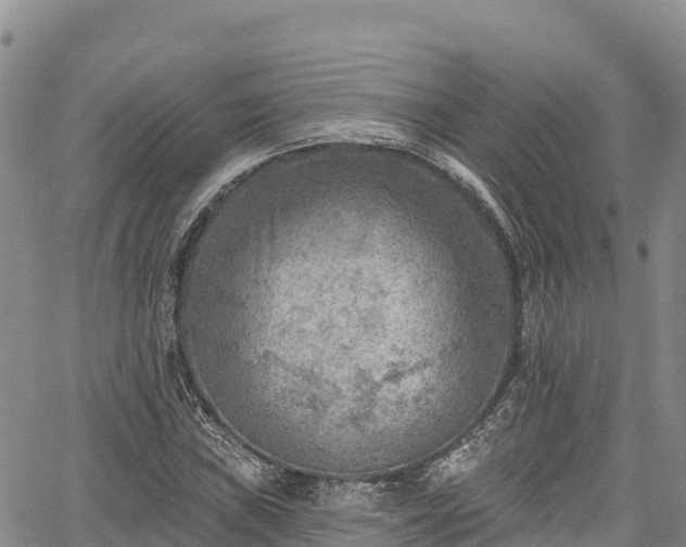 X0000067511019200604101250