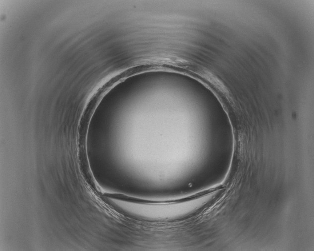 X0000067511020200604101250