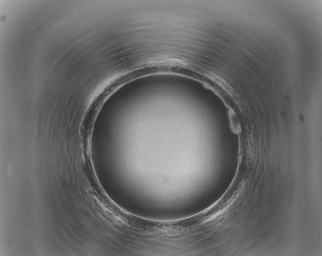 X0000067511022200604101250