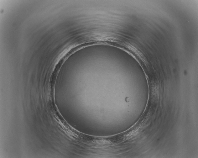 X0000067511023200604101250