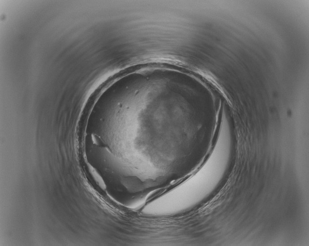 X0000067511024200604101250