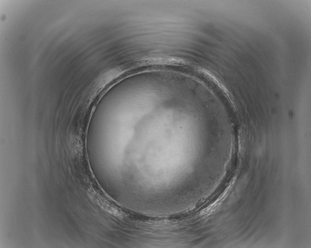 X0000067511025200604101250