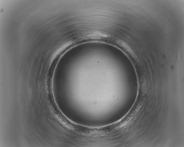 X0000067511026200604101250