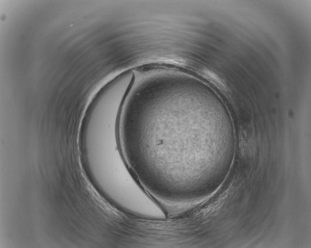 X0000067511028200604101250