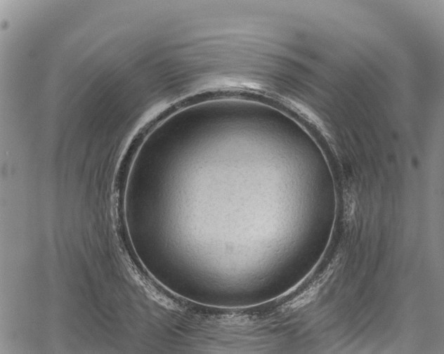 X0000067511029200604101250