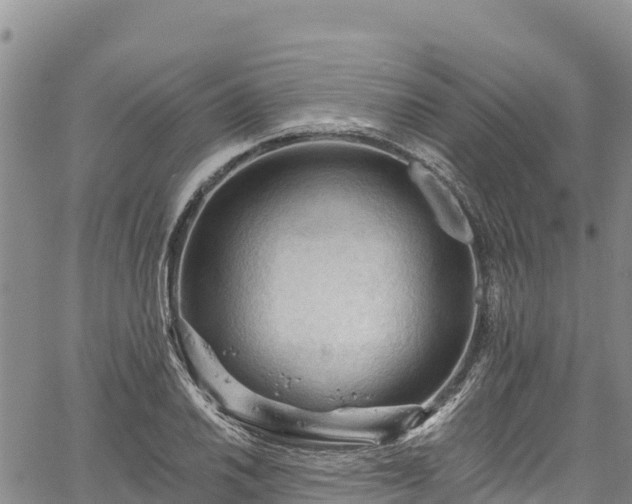 X0000067511030200604101250