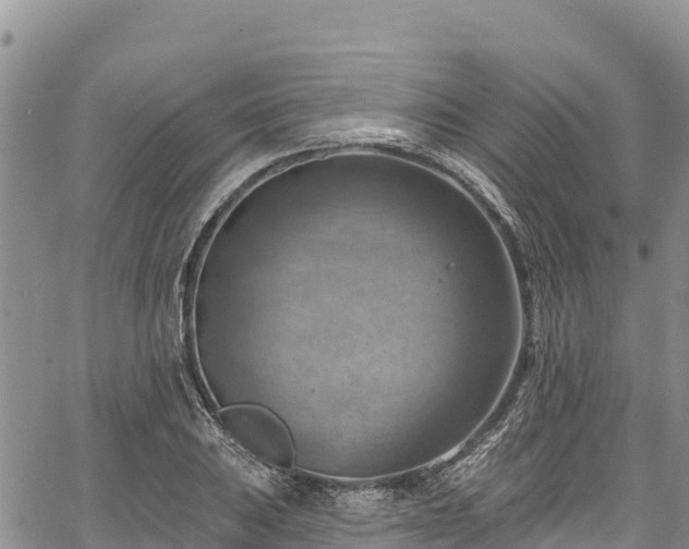 X0000067511031200604101250