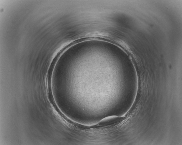 X0000067511032200604101250