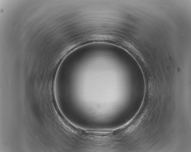 X0000067511033200604101250