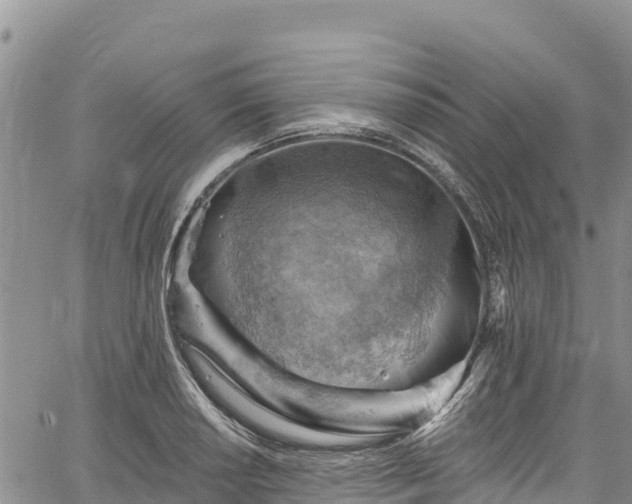 X0000067511034200604101250