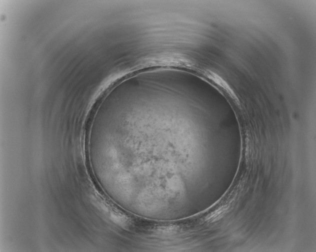 X0000067511035200604101250