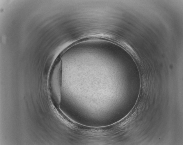 X0000067511036200604101250