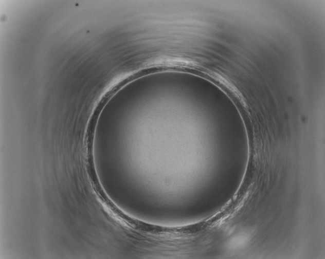 X0000067511037200604101250