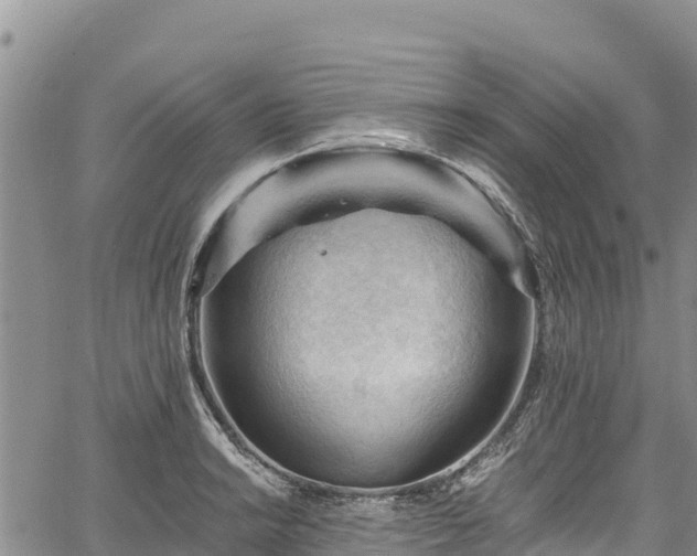 X0000067511038200604101250