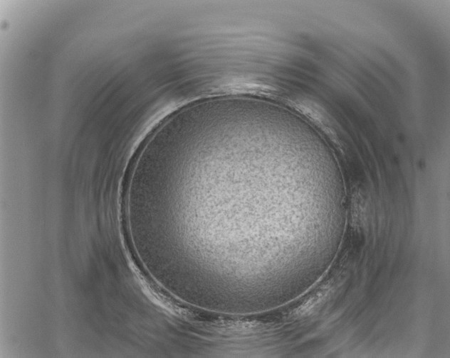 X0000067511039200604101250