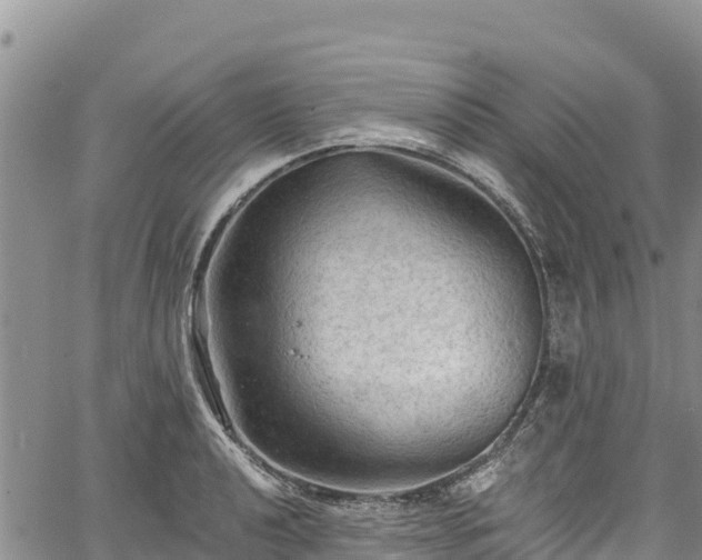 X0000067511040200604101250