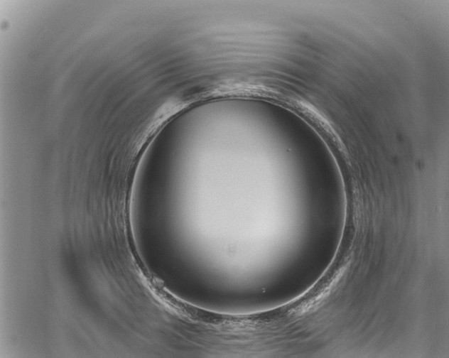 X0000067511041200604101250