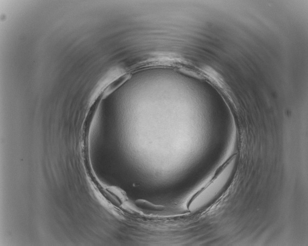 X0000067511042200604101250