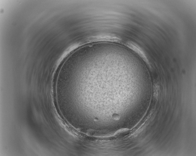 X0000067511043200604101250