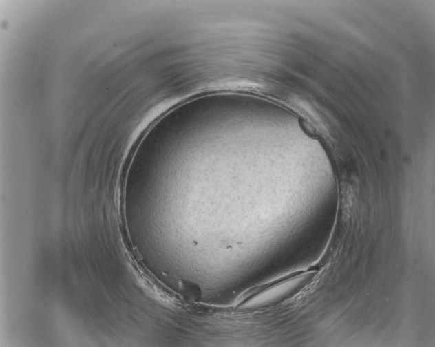 X0000067511044200604101250