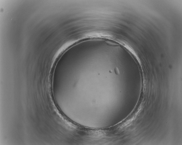 X0000067511045200604101251