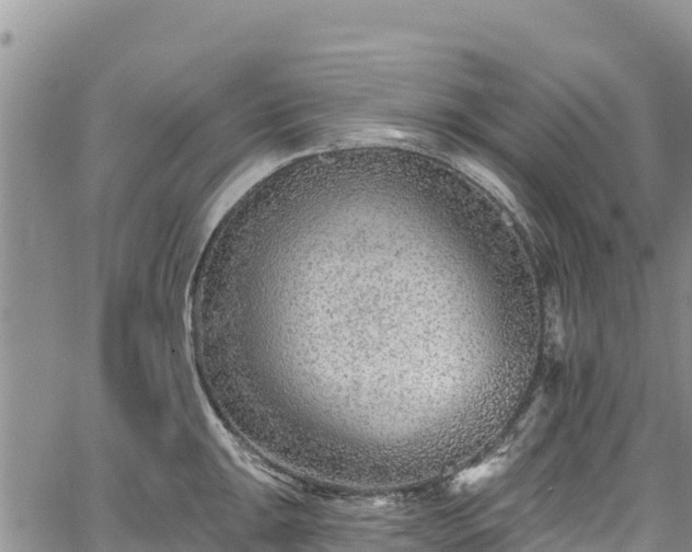 X0000067511047200604101251