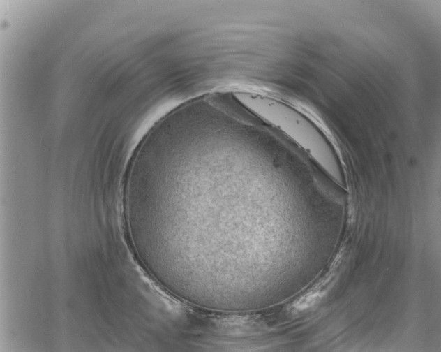 X0000067511048200604101251