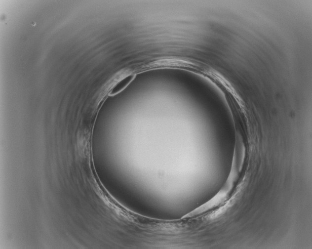 X0000067511049200604101251