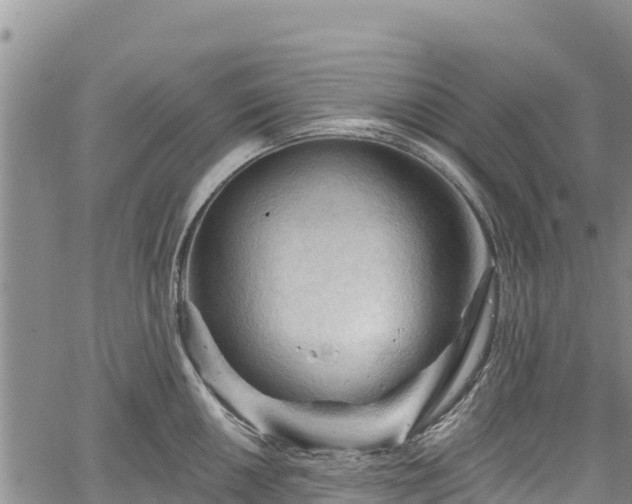 X0000067511050200604101251