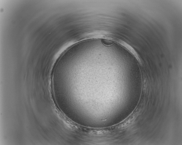 X0000067511051200604101251