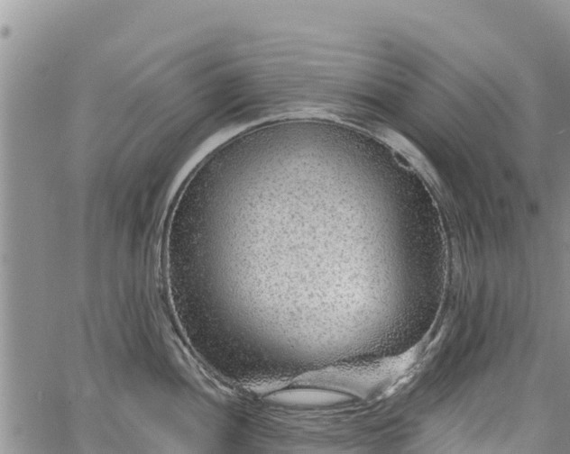 X0000067511052200604101251