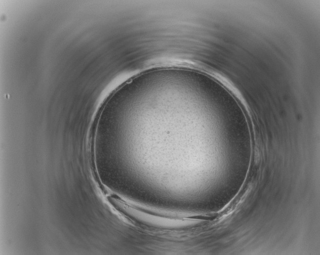 X0000067511053200604101251