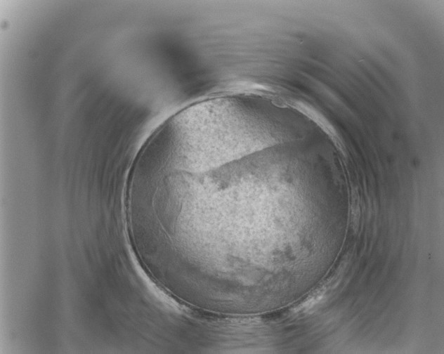 X0000067511055200604101251