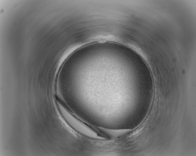 X0000067511056200604101251