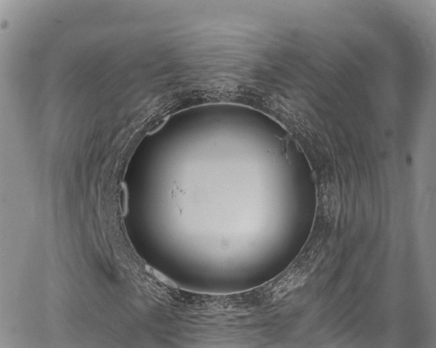 X0000067511057200604101250