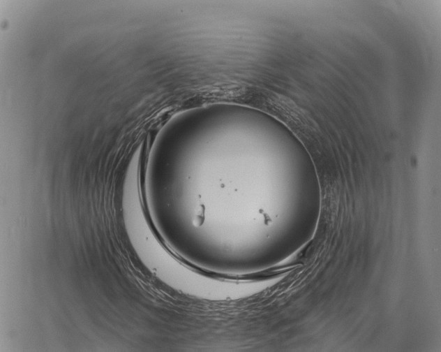 X0000067511058200604101250