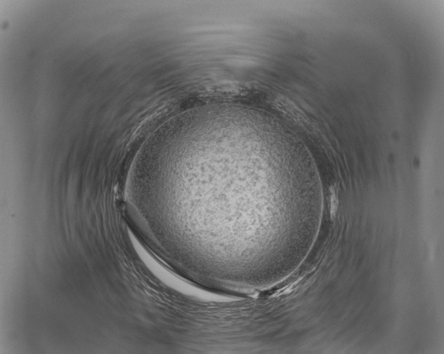 X0000067511059200604101250