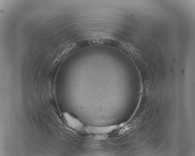 X0000067511060200604101250