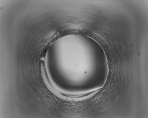 X0000067511061200604101250