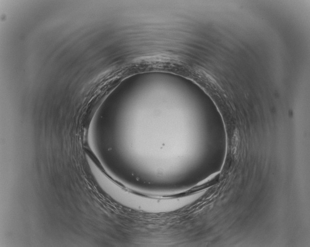 X0000067511062200604101250