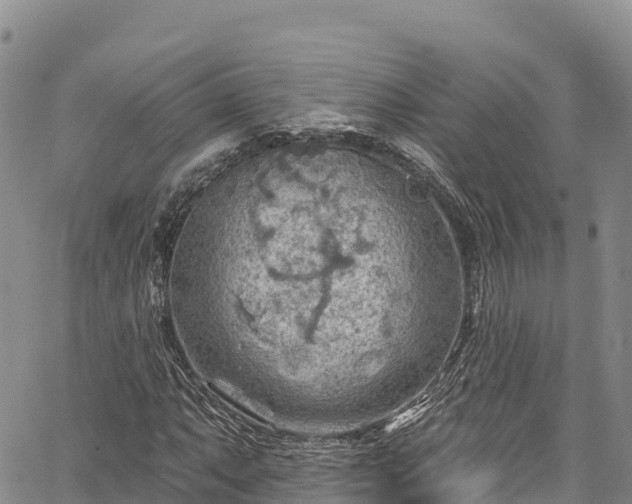 X0000067511063200604101250