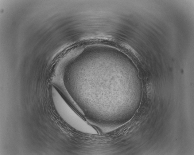 X0000067511064200604101250