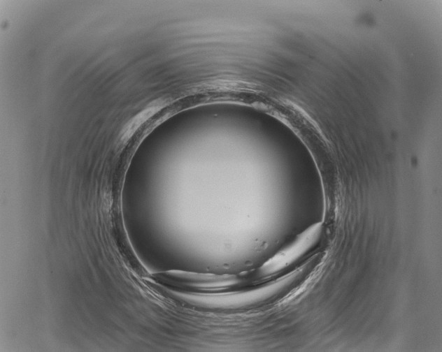 X0000067511065200604101250